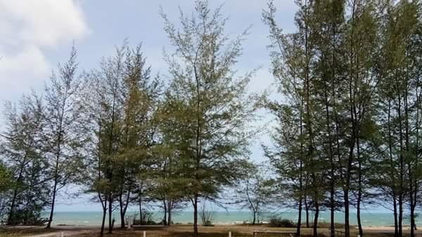 Paka Tamim Seaview Hotel ภายนอก รูปภาพ